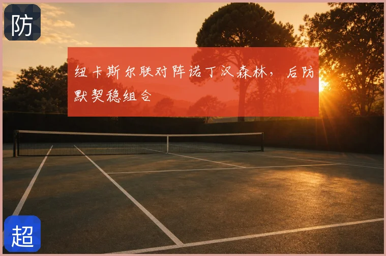 纽卡斯尔联对阵诺丁汉森林，后防默契稳组合